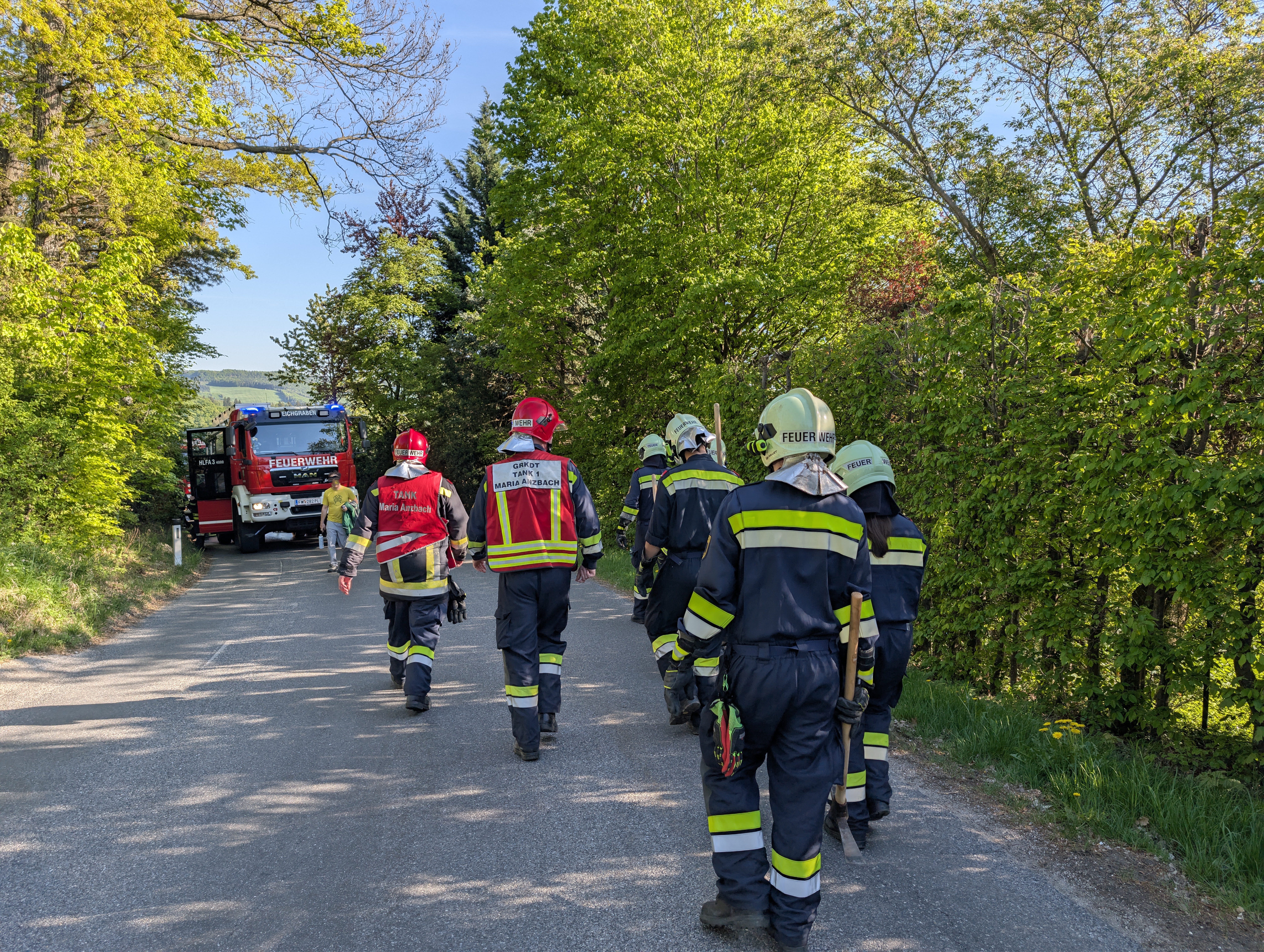 B2 Vegetationsbrand Waldgebiet