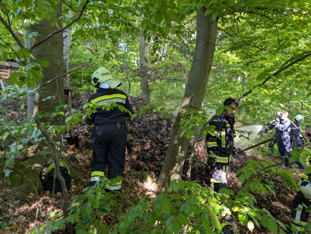 B2 Vegetationsbrand Waldgebiet